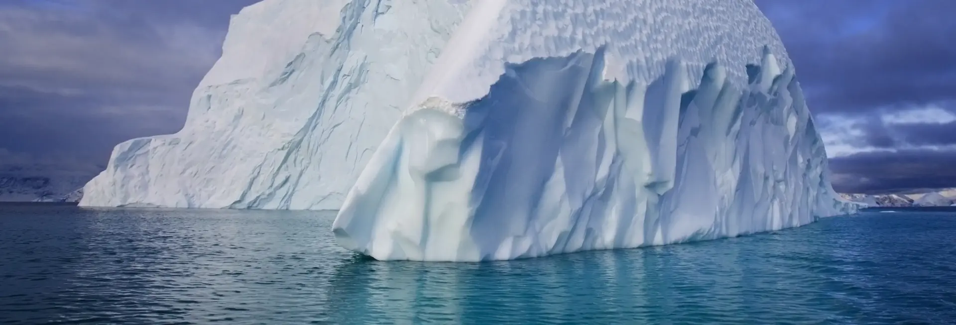 Iceberg fragrance