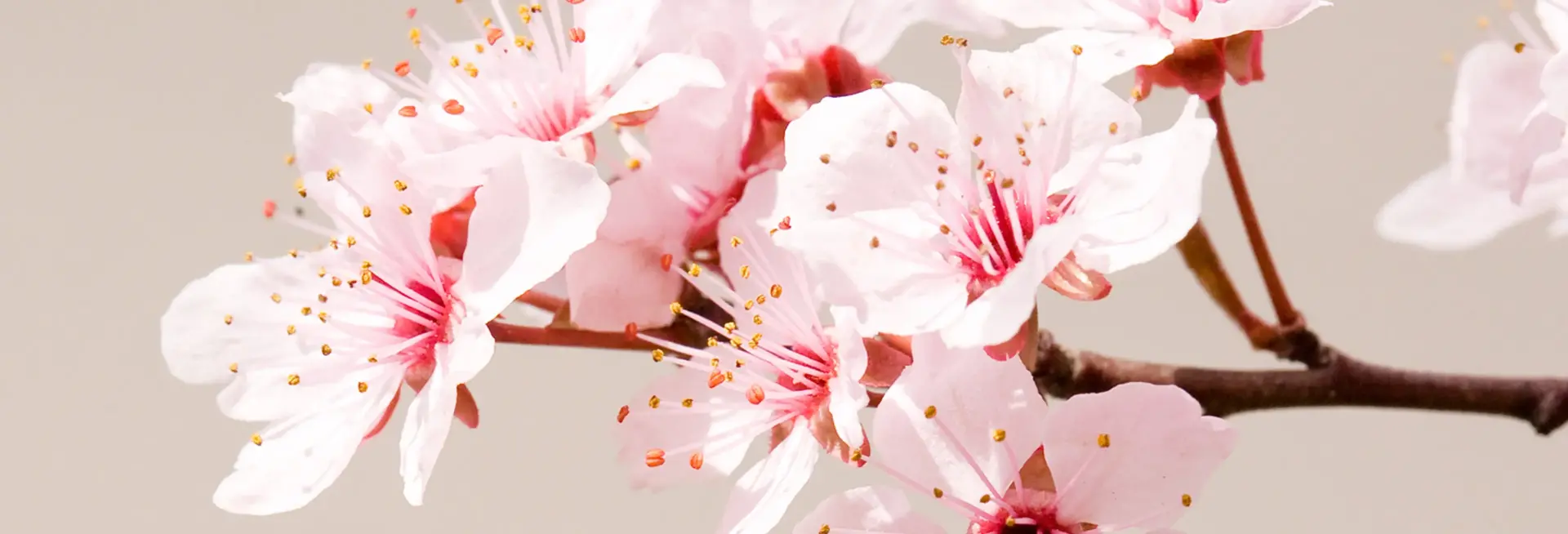 Spring Boquet