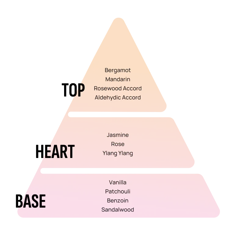 Joconde fragrance pyramid